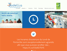 Tablet Screenshot of hodellia.fr